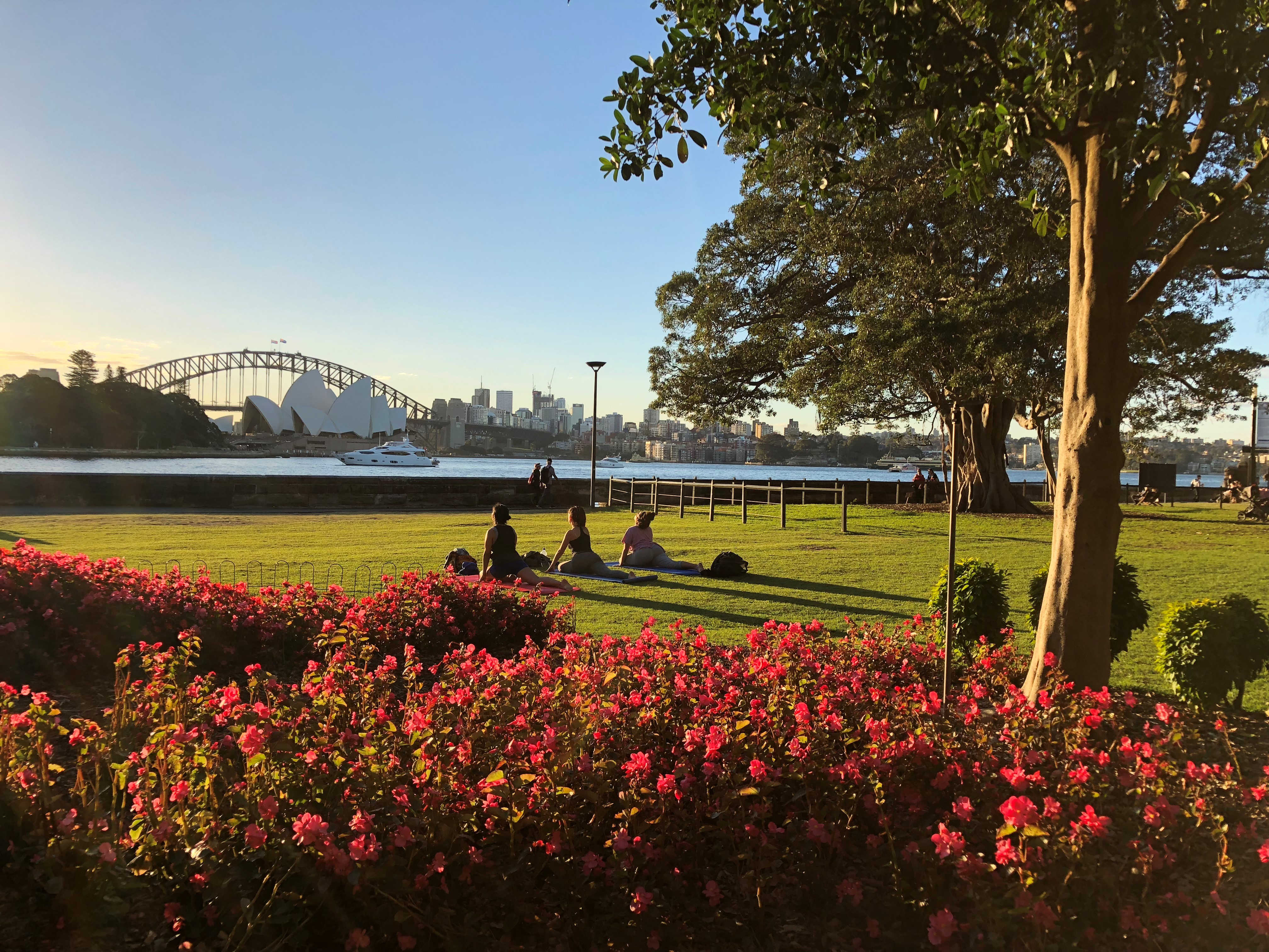 View of Harbour View Lawn | Botanic Gardens of Sydney